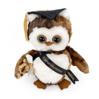 Wisdom Graduation Owl