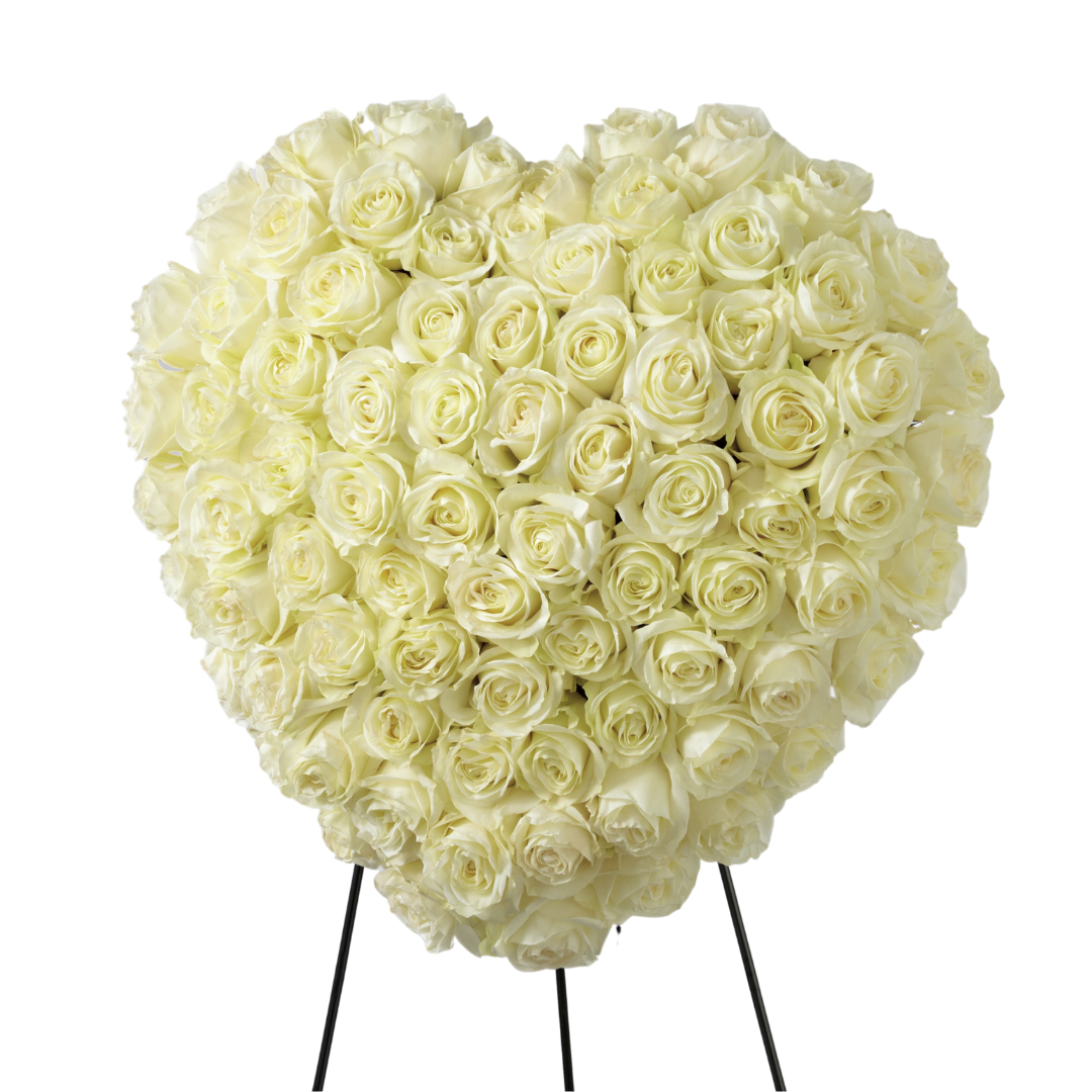 Elegant Remembrance