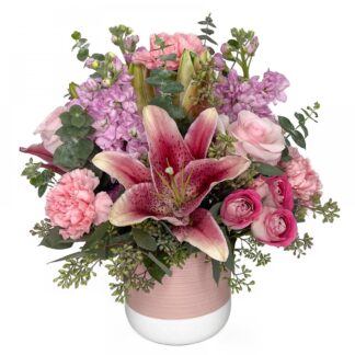 Pink Harmony
