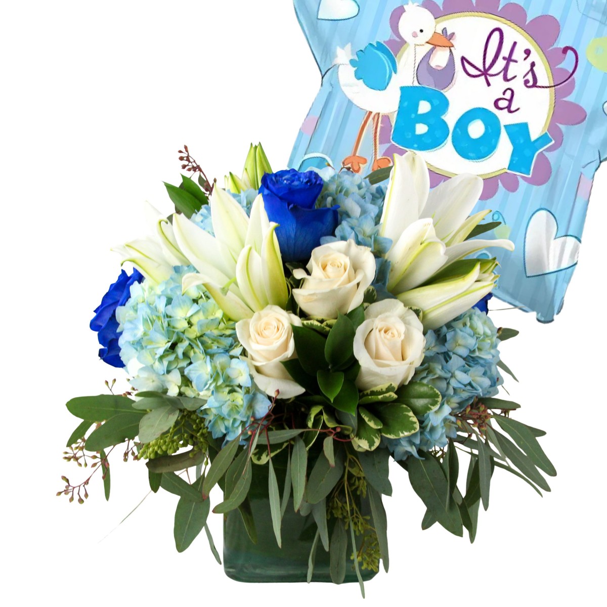 Stork Delivery Baby Boy